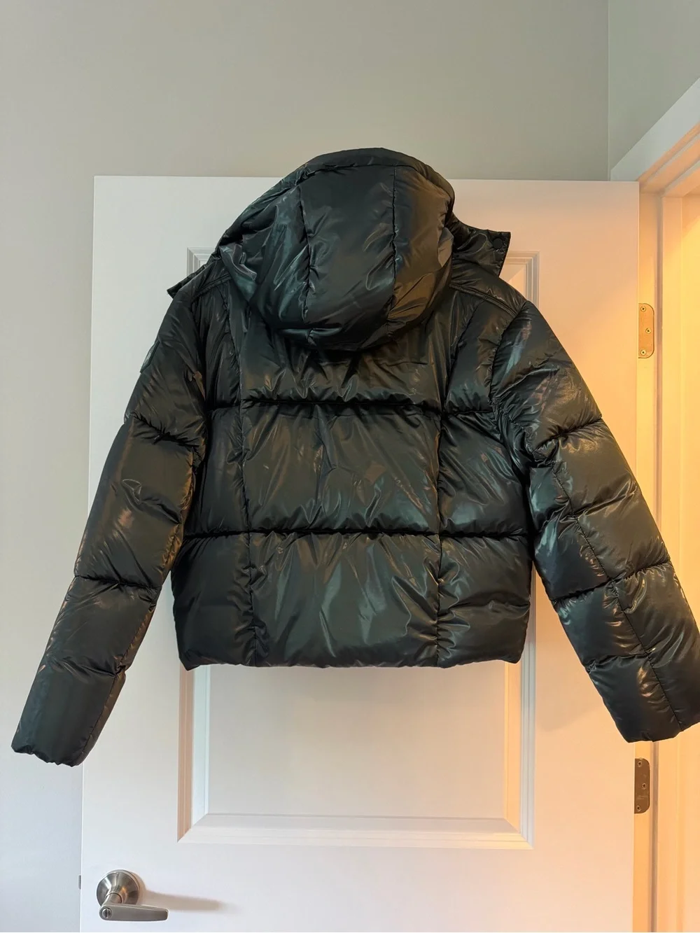 ALO Yoga Green Pearlized Pristine Puffer Jacket